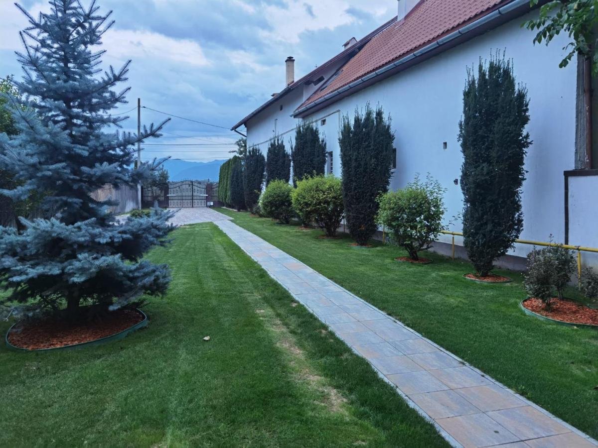 Janine Garden Hotell Braşov Eksteriør bilde
